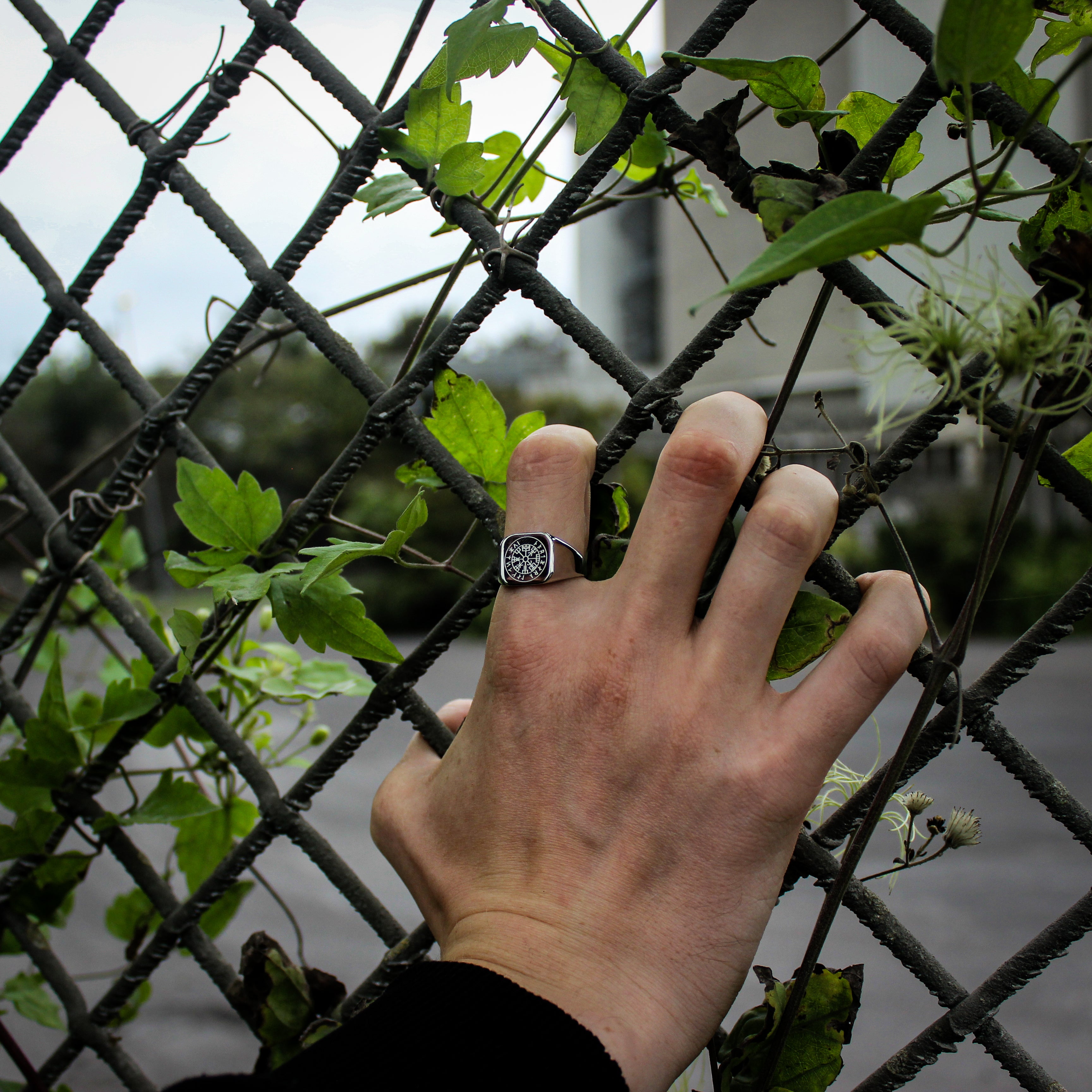 Vegvisir Signature - Silvertonad ring