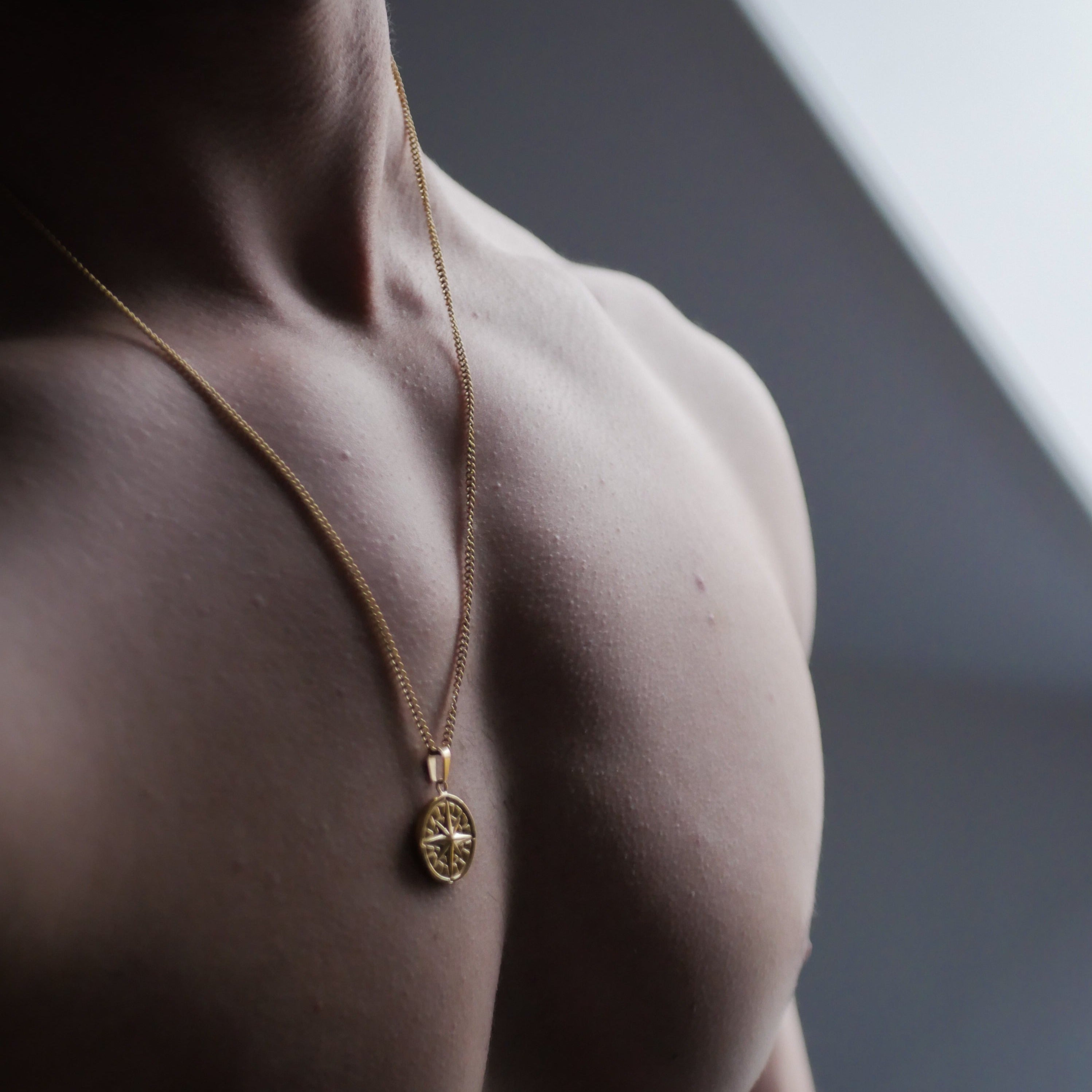 Kompass halsband 2.0 - Guldton