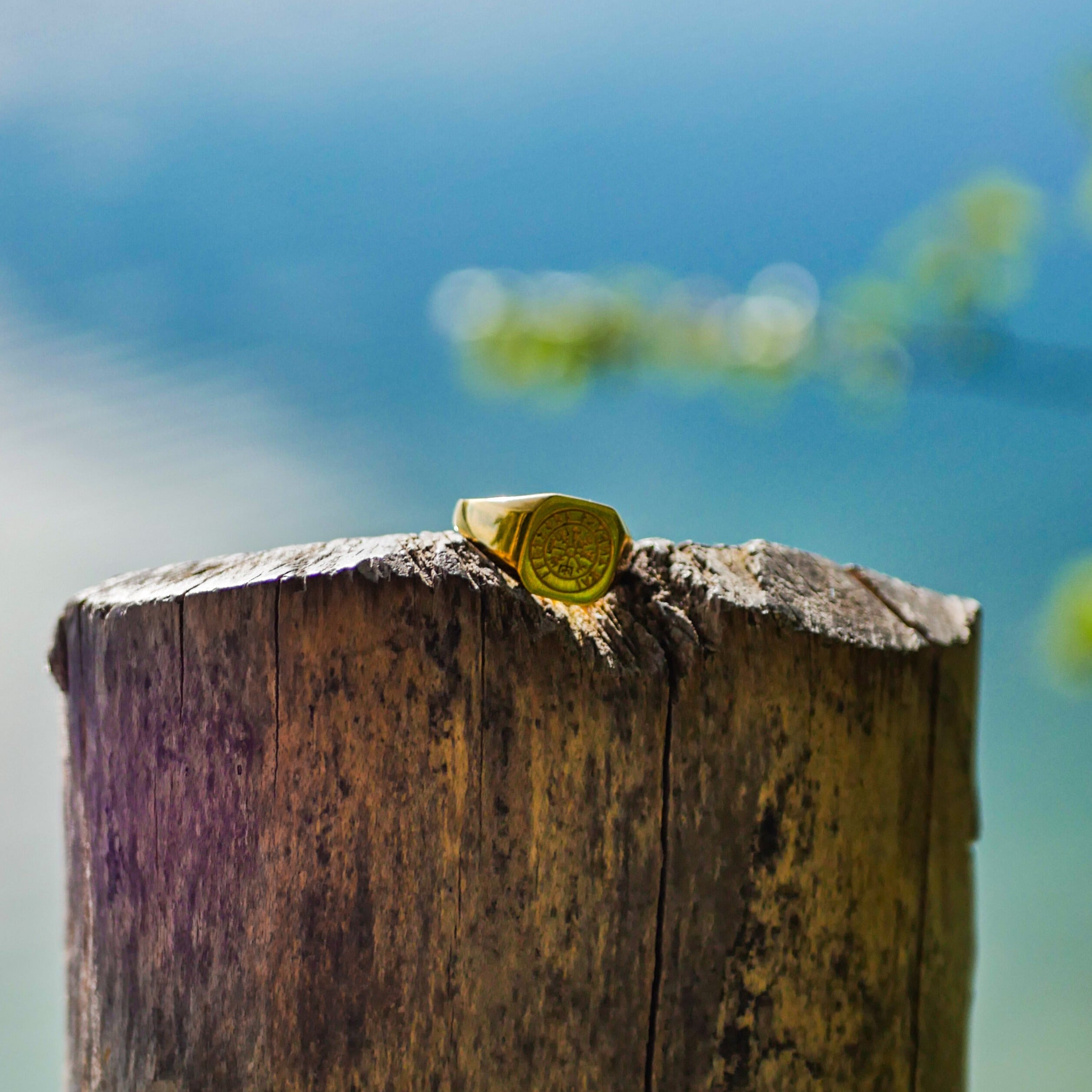 Vegvisir Signature - Guldton ring