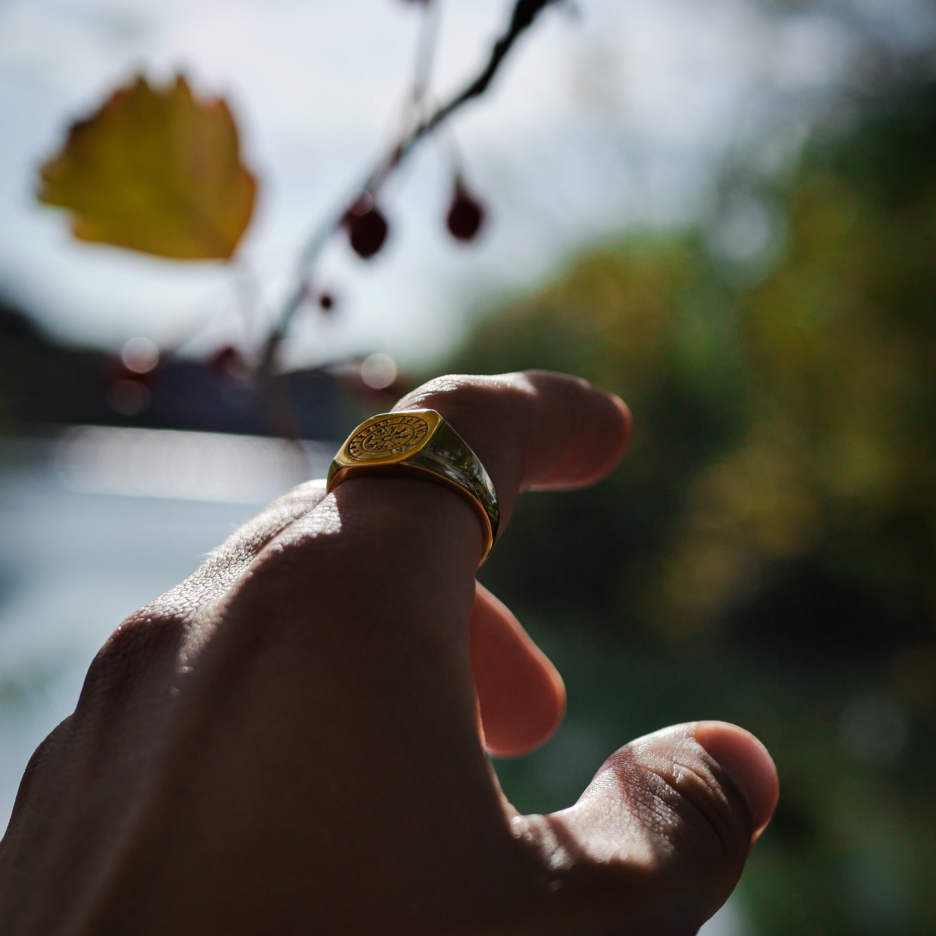 Vegvisir Signature - Guldton ring
