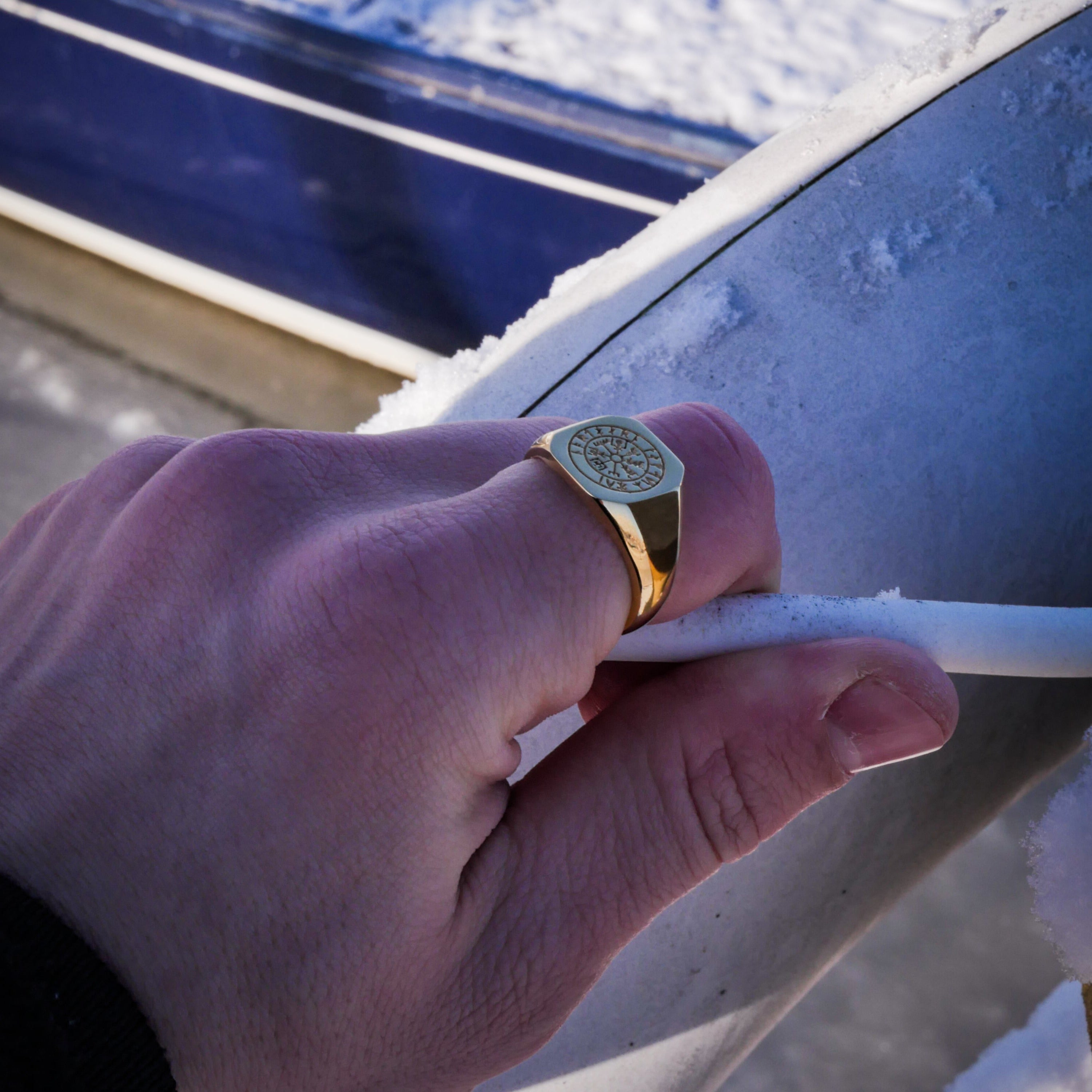 Vegvisir Signature - Guldton ring