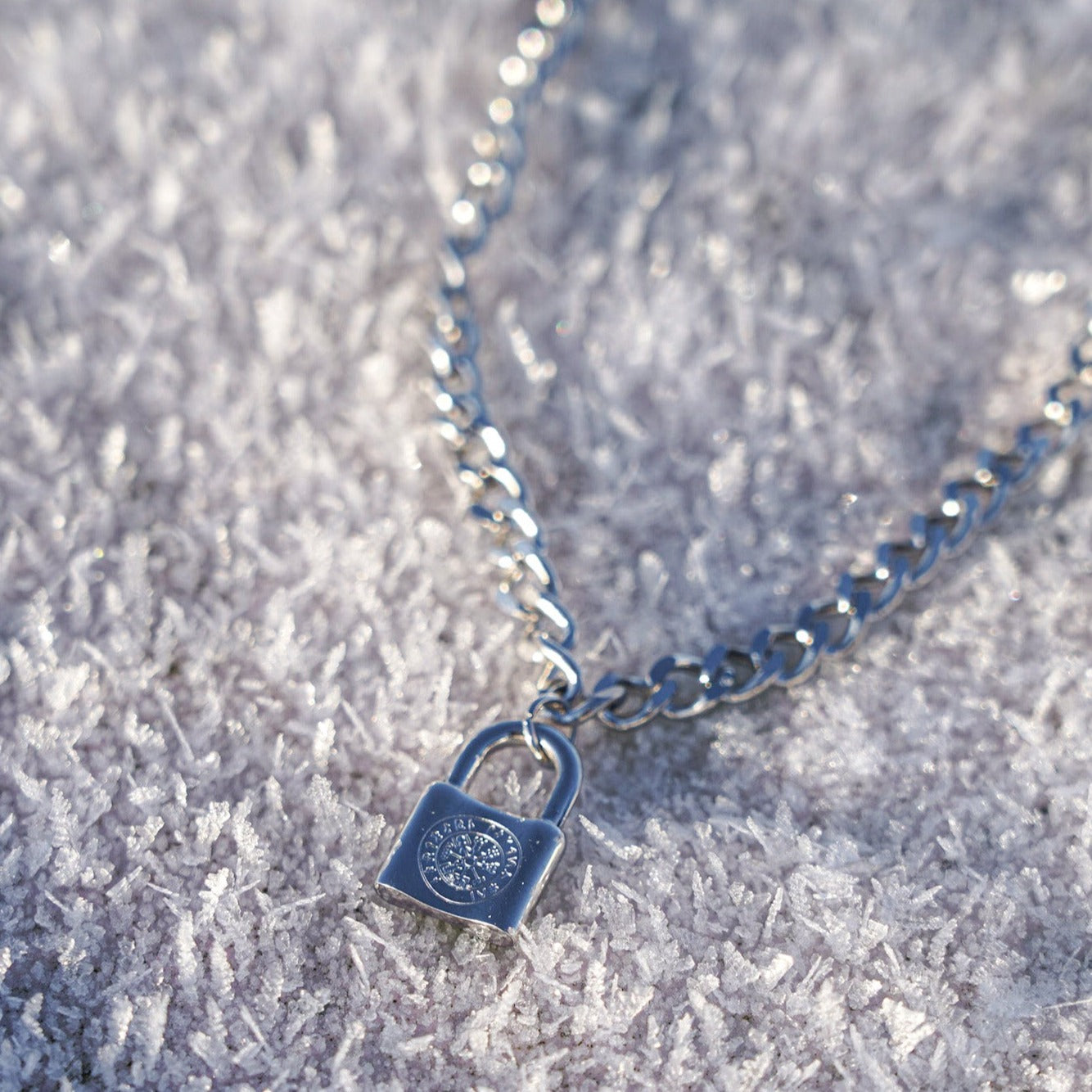 NL Vegvisir locker pendant - Silver-toned