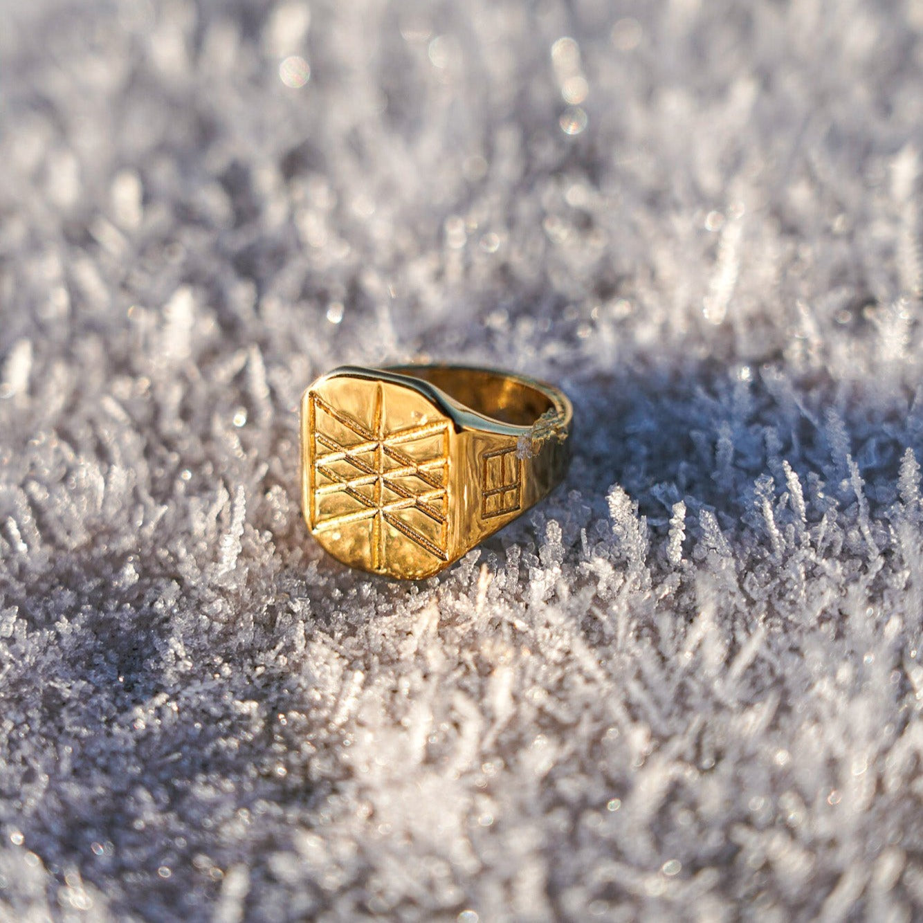 Web of Wyrd Signature ring - Guldtonet