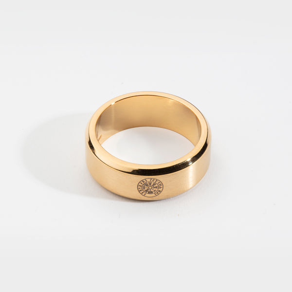 Siempre Vegvisir band - Guldton ring